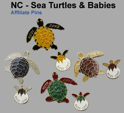 NC-Sea_Turtles.jpg
