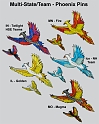 Multi-State-Team_Phoenix_Pins_2010