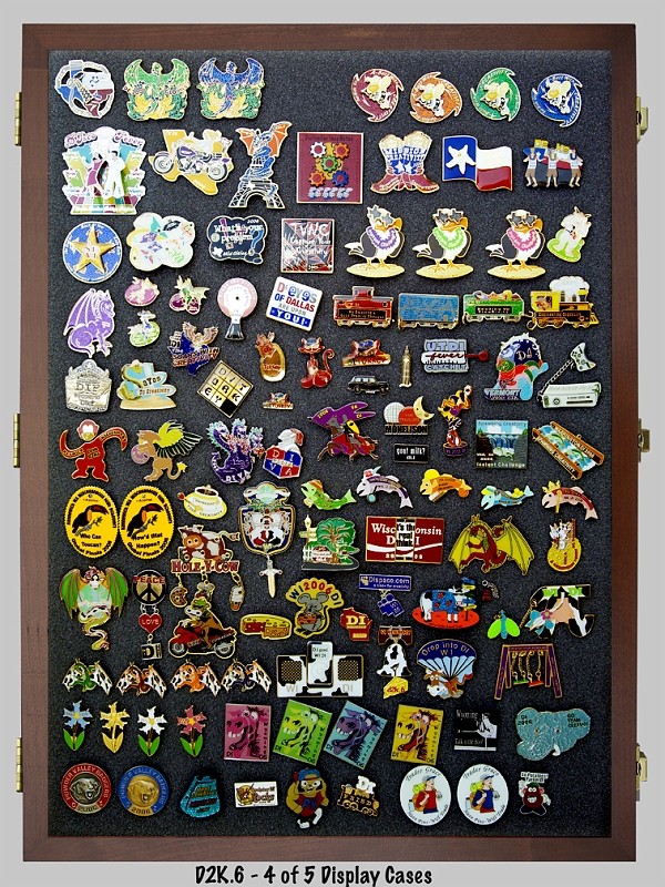 032_d2k6-pin_display-4of5.jpg