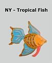 NY-Fish