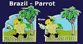 Brazil-Parrot