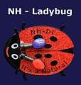 NH-Ladybug