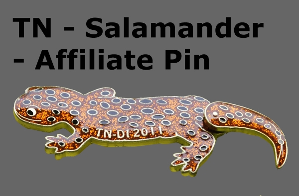 TN-Salamander.jpg