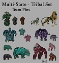 Multi-State-Tribal_Set