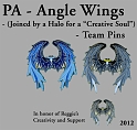 PA-Angle_Wings