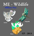 ME-Wildlife