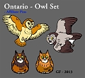 Ontario-Owl_Set