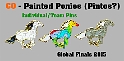 CO-Painted_Ponies