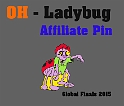 OH-Ladybug-2015