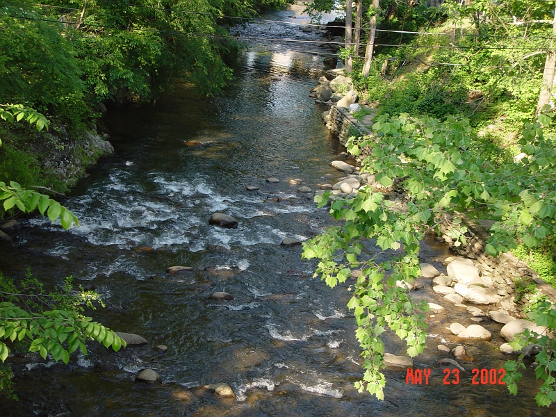 DSC00486.JPG