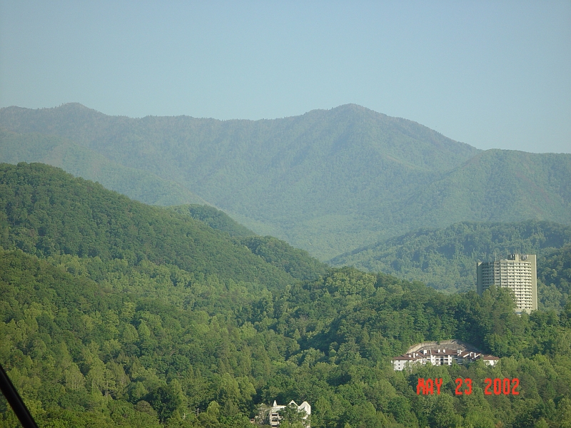 DSC00502.JPG