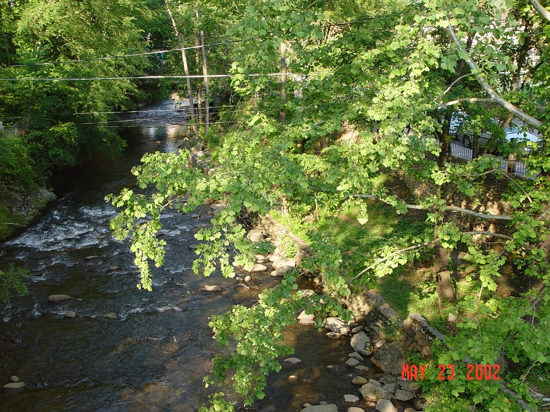 DSC00507.JPG