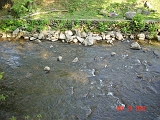 DSC00506