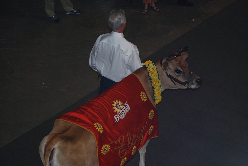 DSC_0073.jpg